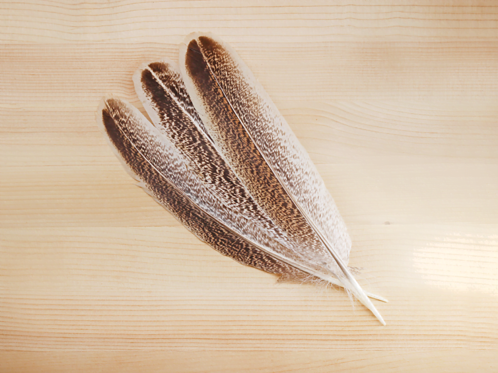 turkey smoke cleansing feather