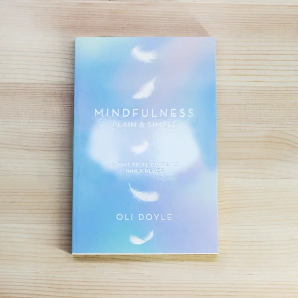Mindfulness Plain And Simple