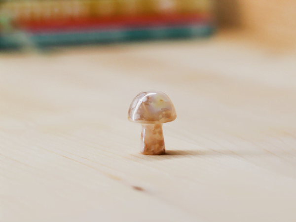 Agate Aura Toadstool At Surrender To Happiness