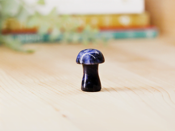 Sodalite Toadstool At Surrender To Happiness