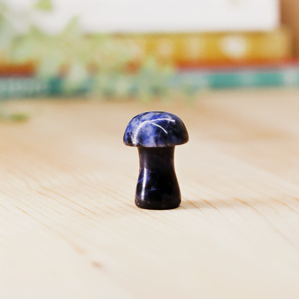 Sodalite Toadstool At Surrender To Happiness